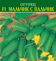Огурец F1 Мальчик с пальчик - купить с доставкой