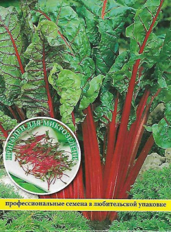 Мангольд Рубарб