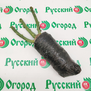 Стандарт поставки 3 Роза Таро