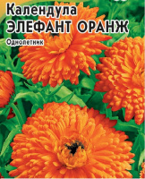 Календула Элефант Оранж - купить с доставкой