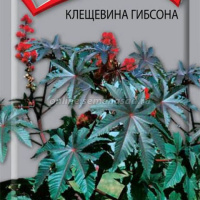 Клещевина Гибсона  - купить с доставкой