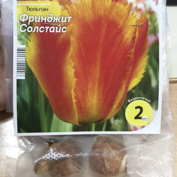 Стандарт поставки 1 Тюльпан Фринжд Солтайс