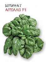 Шпинат Аполло F1 - купить с доставкой