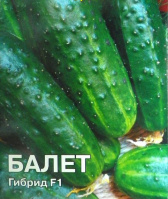 Огурец Балет F1 - купить с доставкой