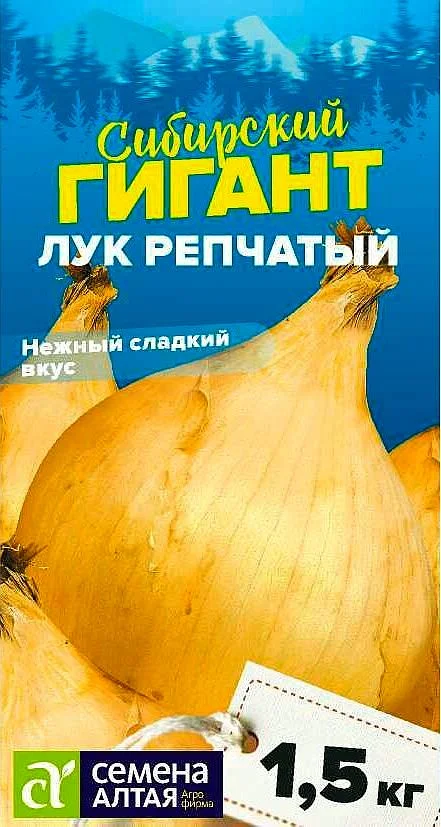 Лук репчатый сибирский. Семена лук "Сибирский гигант", 0,2 гр.. Лук репчатый Сибирский гигант. Лук Сибирский гигант семена Алтая.