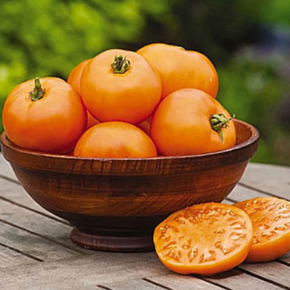Семена Томат Оранжевый гигант: описание сорта, фото - купить с доставкойили почтой России