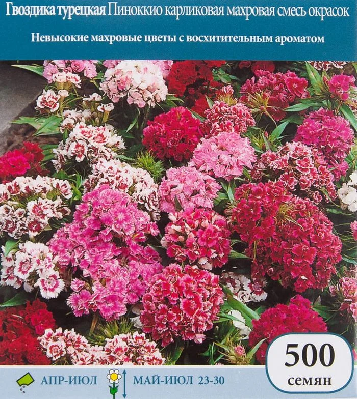 Семена Гвоздика турецкая Пиноккио карликовая махровая, смесь окрасок ...