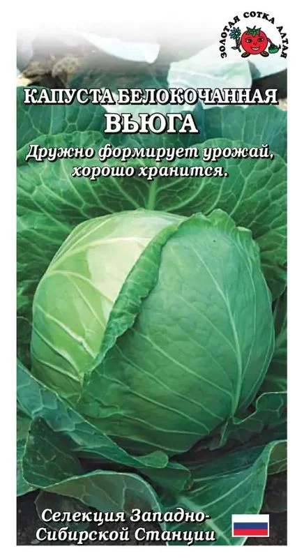 Семена Капуста б/к Вьюга: описание сорта, фото - купить с доставкой илипочтой России