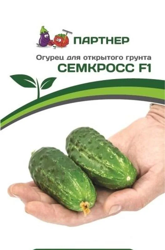 Купить Семена Огурцов Фирмы Партнер