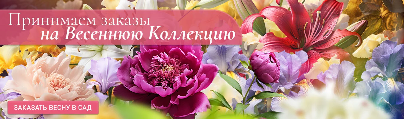 Весенняя коллекция 2024!