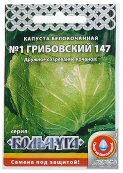 Капуста номер первый грибовский 147. Капуста номер первый Грибовский. Капуста номер 1 Грибовский 147. Кабачок Грибовский "Кольчуга" НК. Капуста Краснодарская.