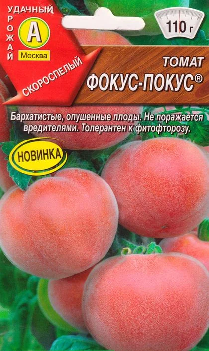 Томат Фокус покус - описание сорта помидоров, характеристики, посадка, выращивание, болезни, вредители, отзывы Томат Фокус покус: описание сорта помидоров, характеристики, посадка, выращивание, болезни, вредители, отзывы