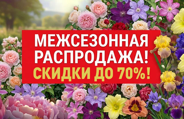 Межсезонная распродажа