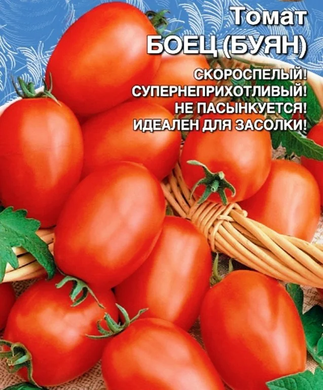 Семена Томат Боец (Буян): описание сорта, фото - купить с доставкой илипочтой России