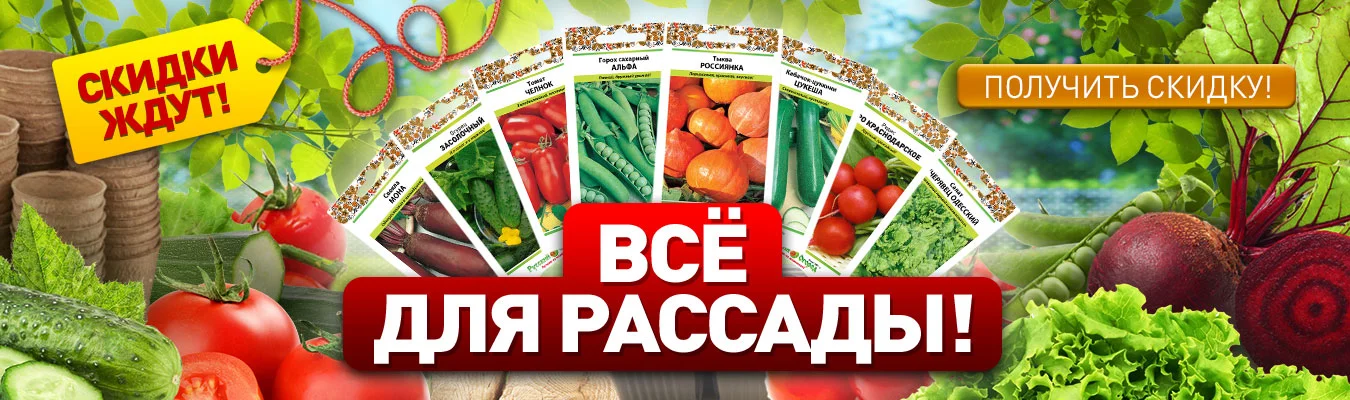 Выгодный старт!