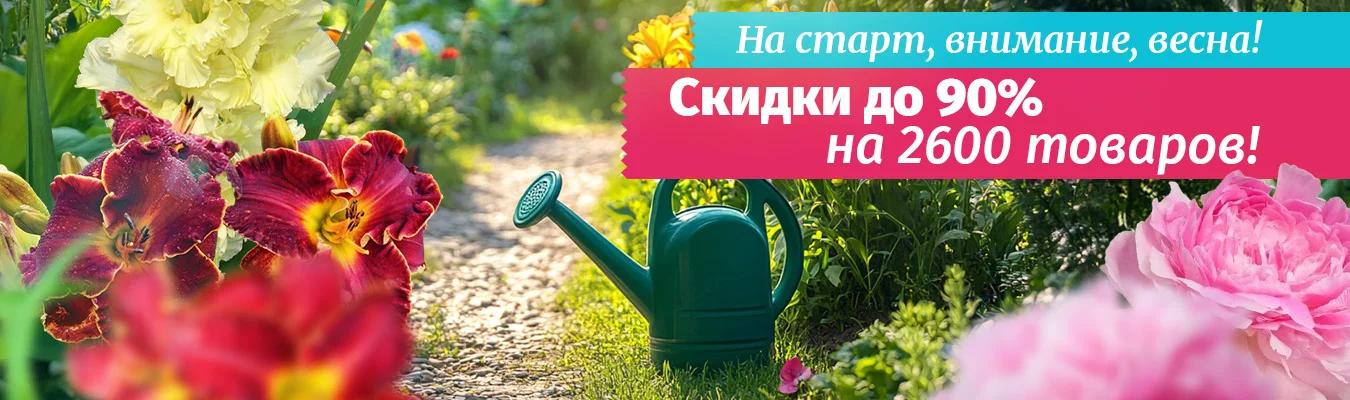Старт сезона с суперскидками!