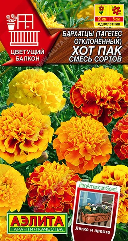 Бархатцы Бонита отклоненные, смесь Аэлита ц