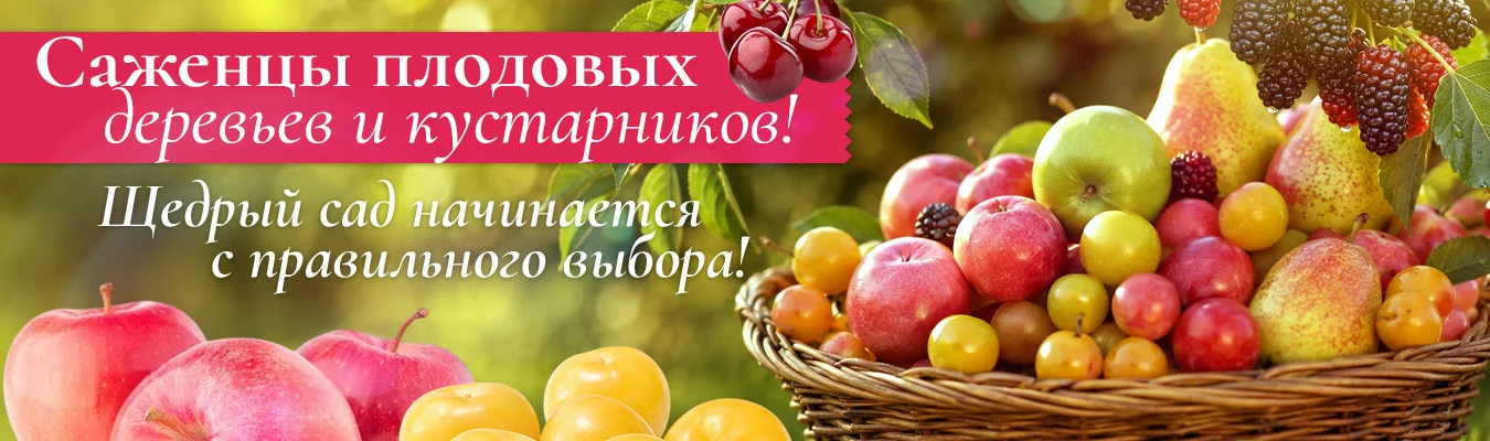 Плодово-ягодные