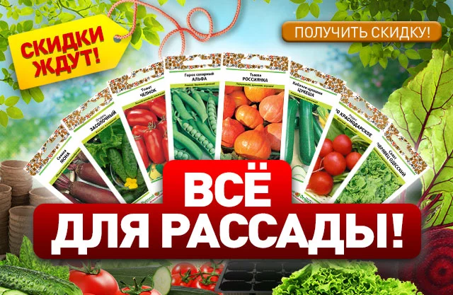 Выгодный старт!