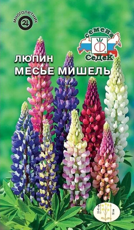 Купить Семена Люпина Красного