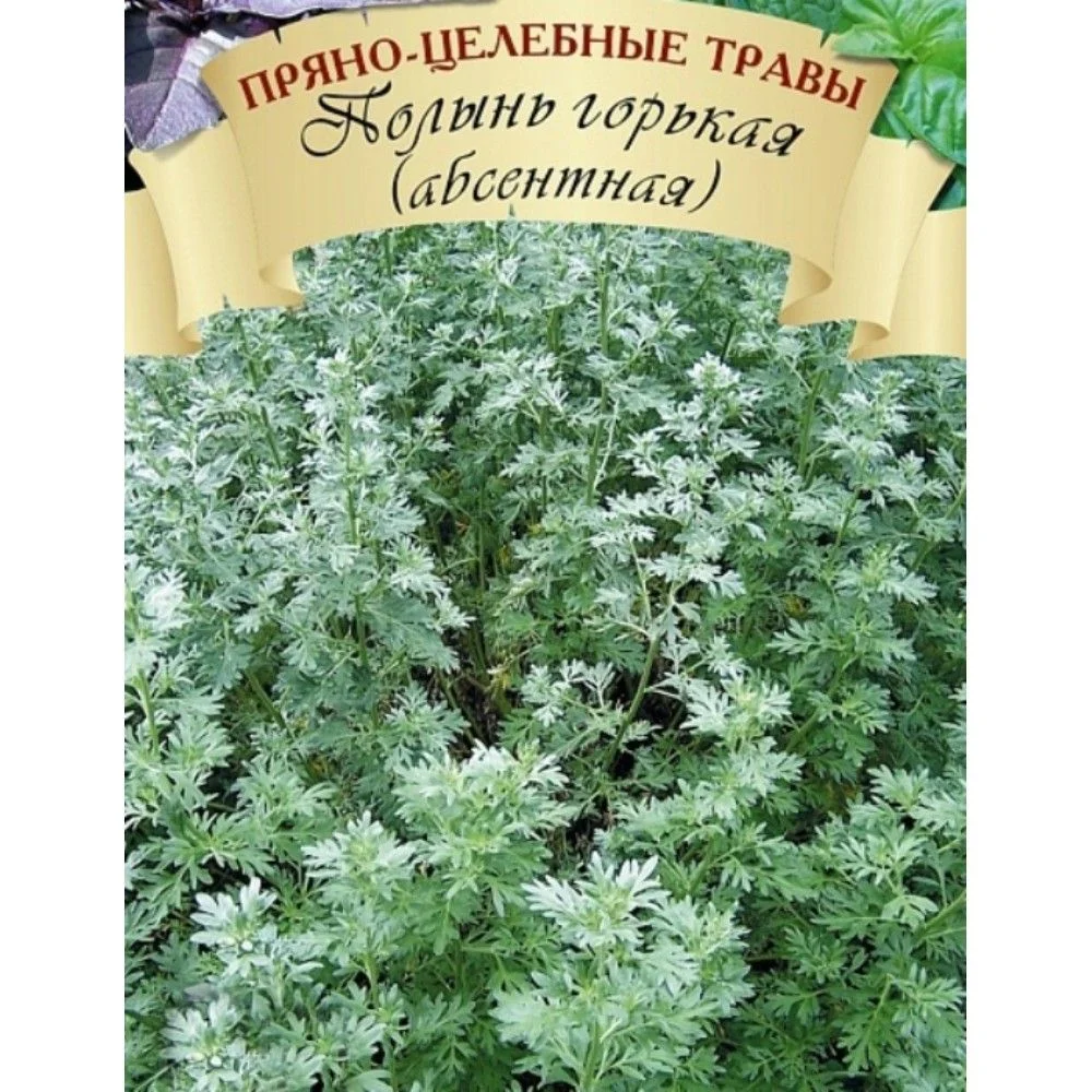 Семена Полыни Горькой Купить
