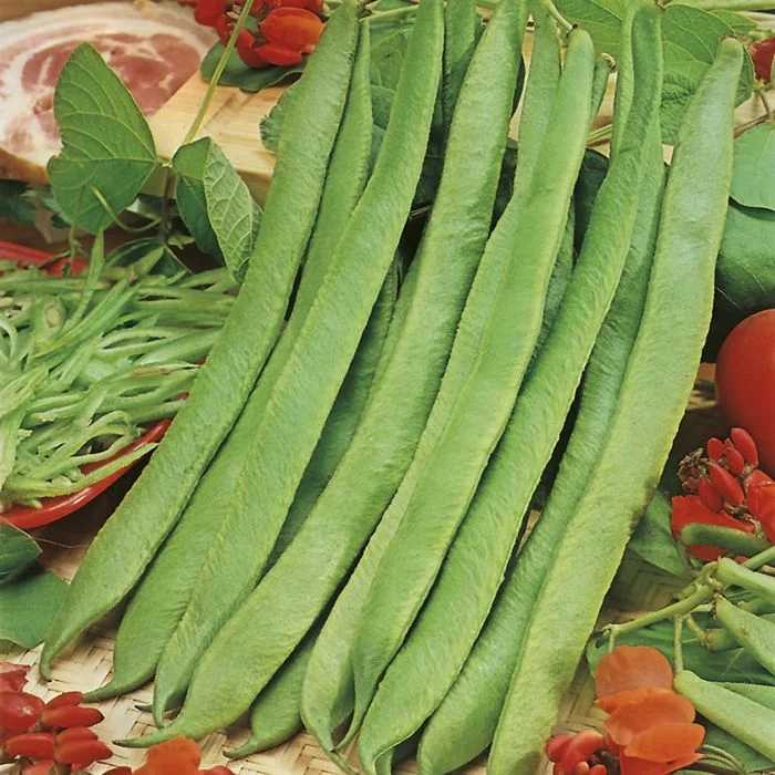 Семена Фасоль овощная Бона: описание сорта, фото - купить с доставкой илипочтой России