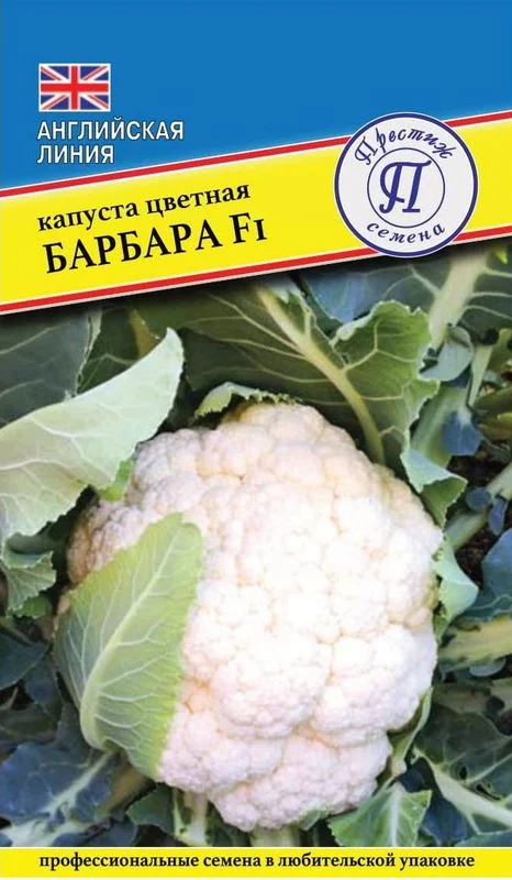 Семена Капуста цветная Барбара F1: описание сорта, фото - купить сдоставкой или почтой России