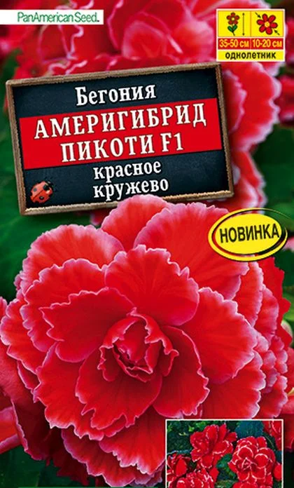Бегония клубневая АМЕРИГИБРИД Пикоти