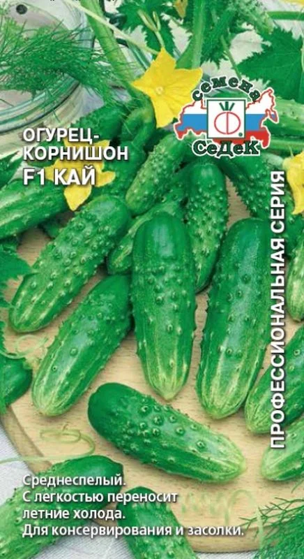 Семена Огурец F1 Кай: описание сорта, фото - купить с доставкой или почтойРоссии