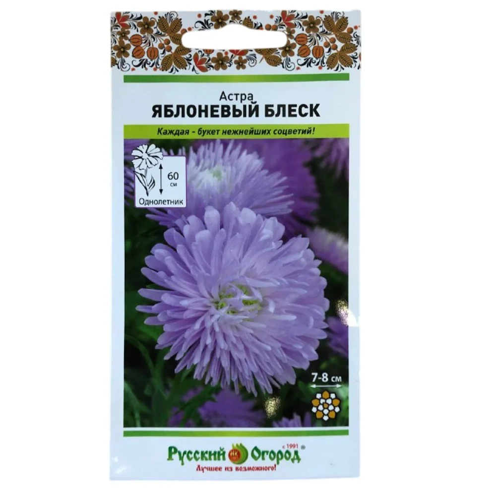Астра Яблоневый блеск Астра Яблоневый блеск