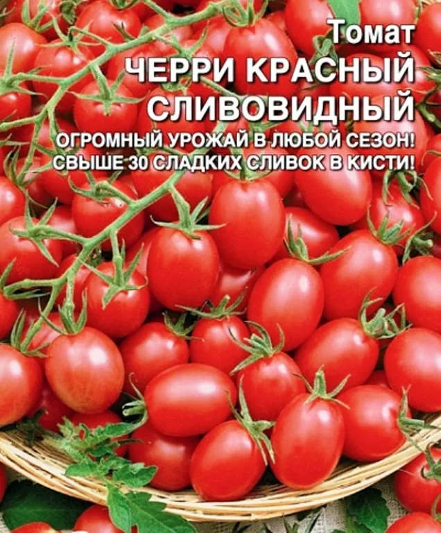 Семена Томат Черри Красный сливовидный: описание сорта, фото - купить с ...
