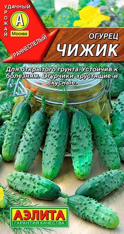 Семена Огурец Чижик: описание сорта, фото - купить с доставкой или почтойРоссии