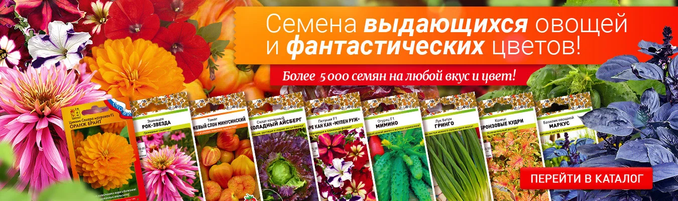 Более 5000 семян!