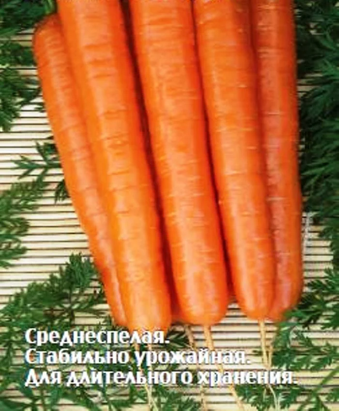 Морковь про 2024 года. Морковь Нантская 4 (Семетра). Морковь Нантская улучшенная сахарная. Морковь Нантская улучшенная 2гр СС.