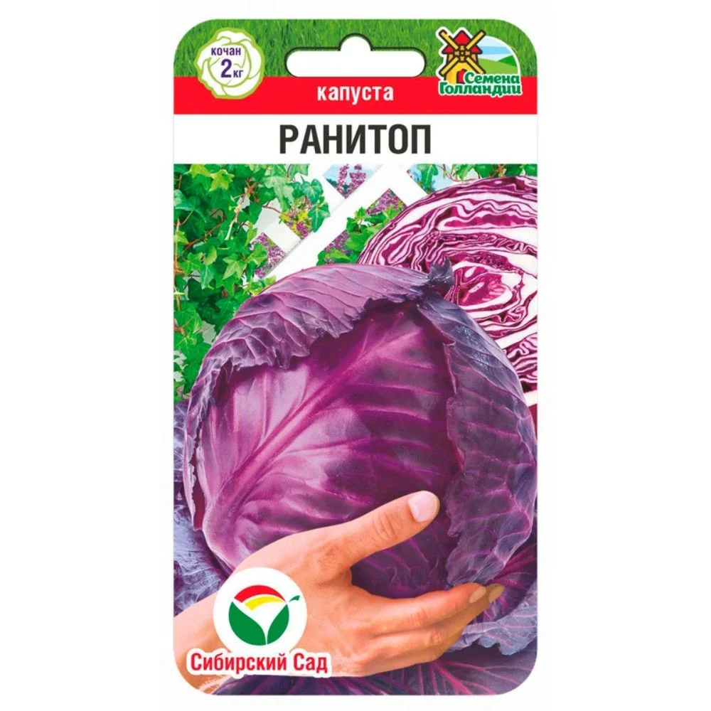 Купить Семена Капусты Голландской Селекции