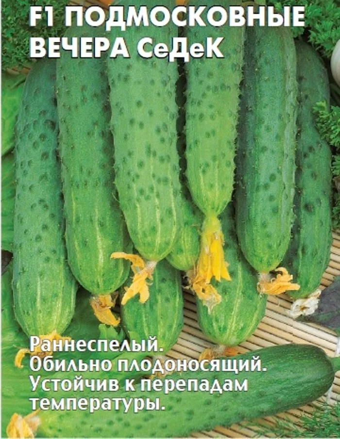 Огурцы вечером есть