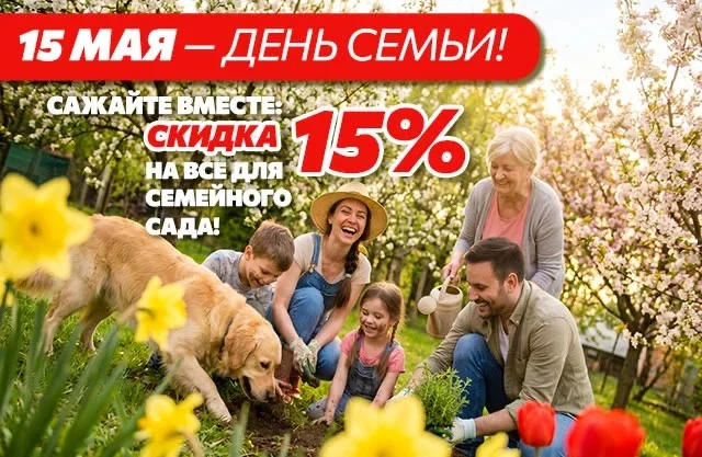 С Днем семьи!