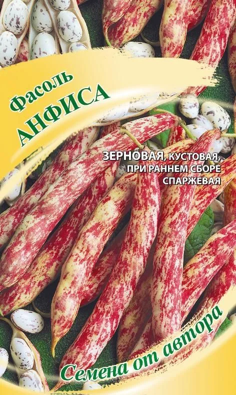 Семена Фасоль Анфиса: описание сорта, фото - купить с доставкой или почтойРоссии