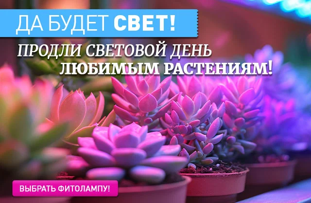 Фитолампы
