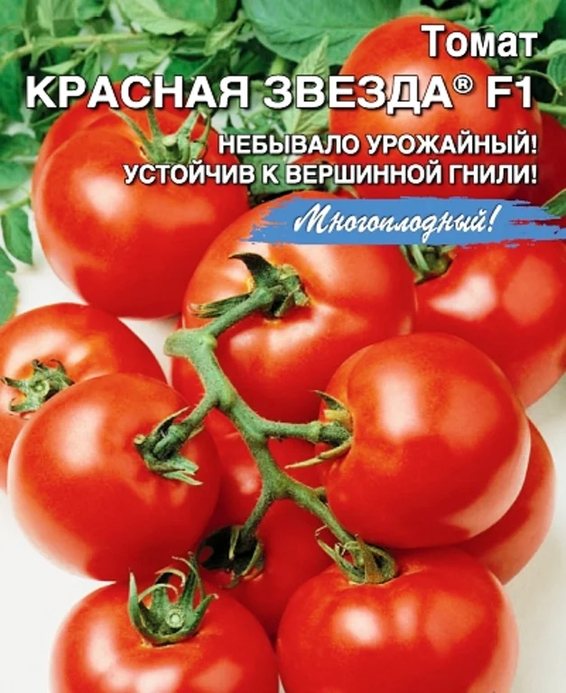 Семена Томат Красная звезда F1: описание сорта, фото - купить с доставкойили почтой России