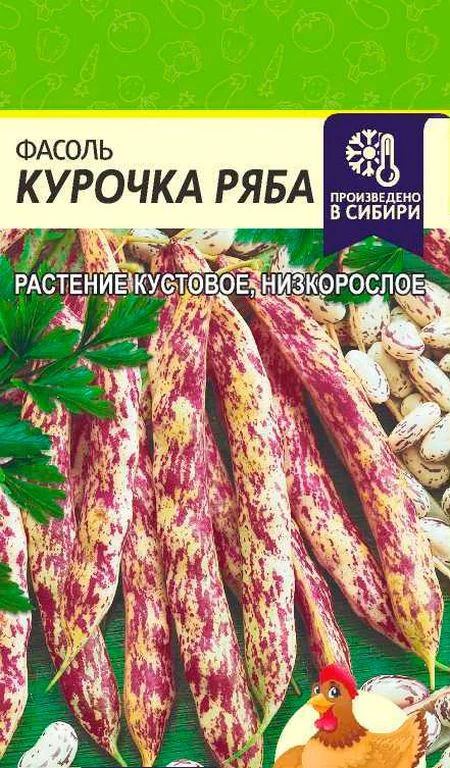Семена Фасоль курочка Ряба: описание сорта, фото - купить с доставкой илипочтой России