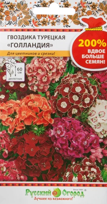 Семена Гвоздика турецкая Голландия, смесь: описание сорта, фото ...