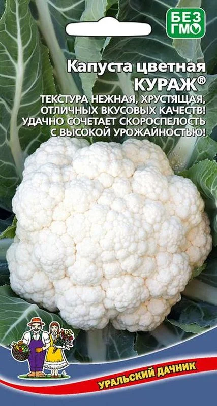 Семена Капуста цветная Кураж: описание сорта, фото - купить с доставкой илипочтой России