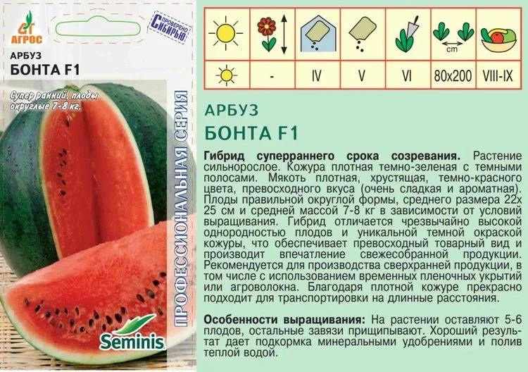 Семена Арбуз Бонта F1: описание сорта, фото - купить с доставкой или почтойРоссии