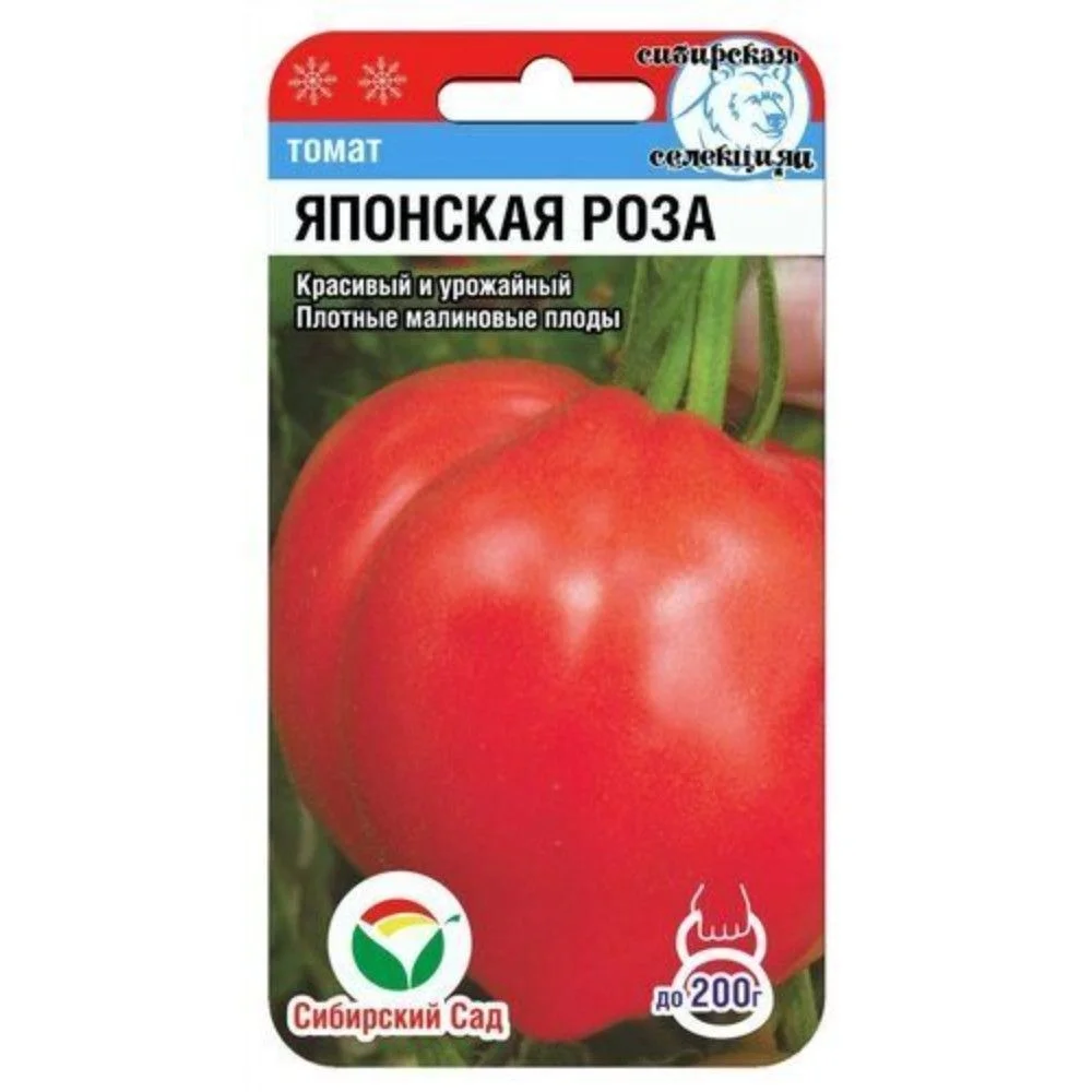 Томат Роза Фото