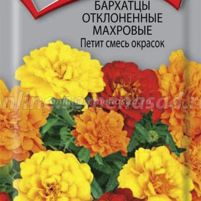 Семена Бархатцы отклоненные махровые Петит смесь окрасок: описание ...