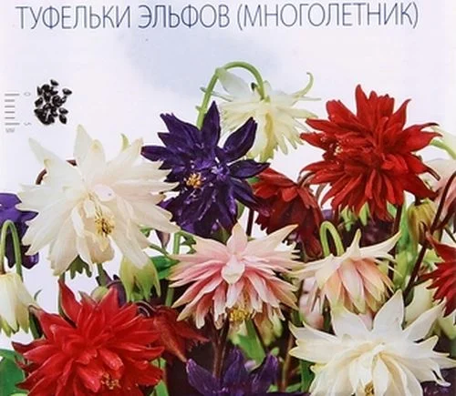 Аквилегия туфельки эльфов