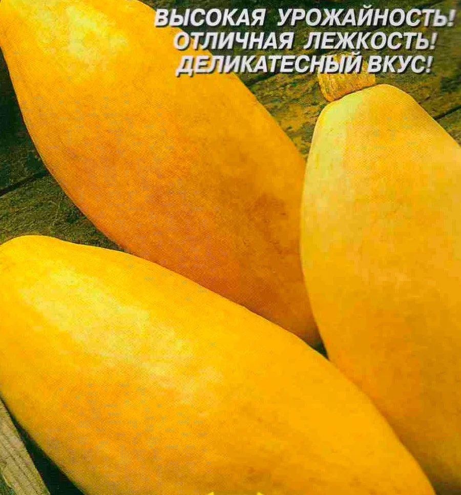 Семена Тыква Сладкий банан : описание сорта, фото - купить с доставкой илипочтой России
