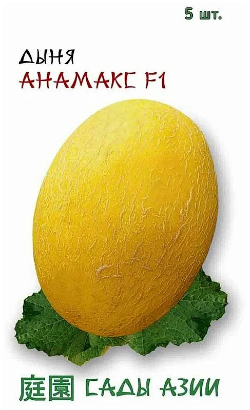 7ba9b5ba8a824947147eecf314a02db4.webp