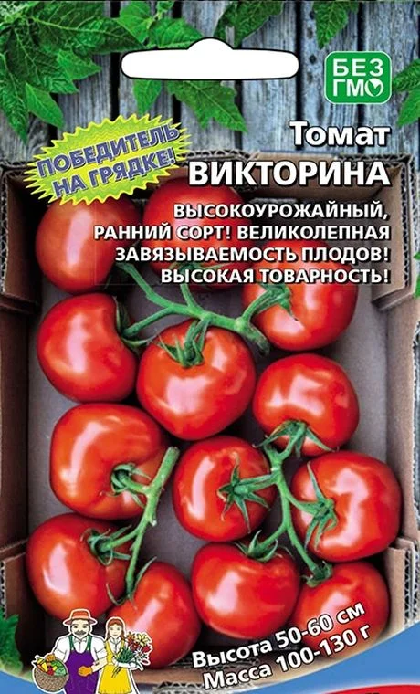 Семена Томат Викторина: описание сорта, фото - купить с доставкой илипочтой России